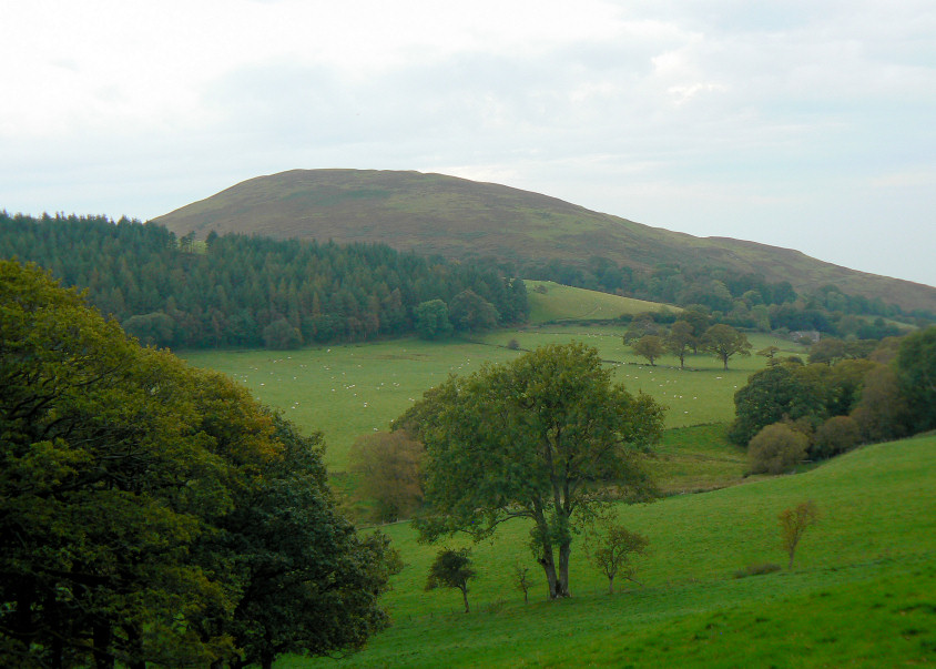 Ling Fell Ling Fell